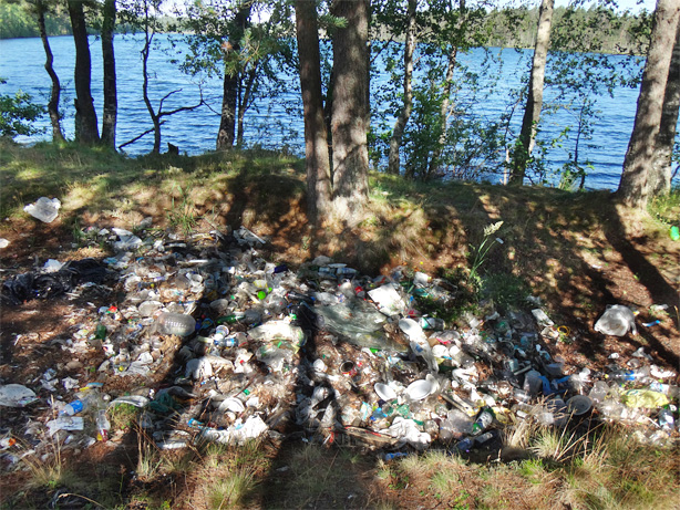 накапливается такое количество мусора, что целые участки берега становятся непригодными